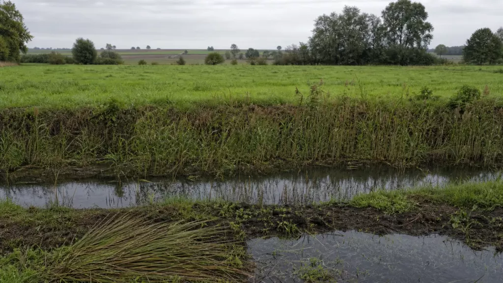La police de l’environnement, un pouvoir soustrait aux fédérations