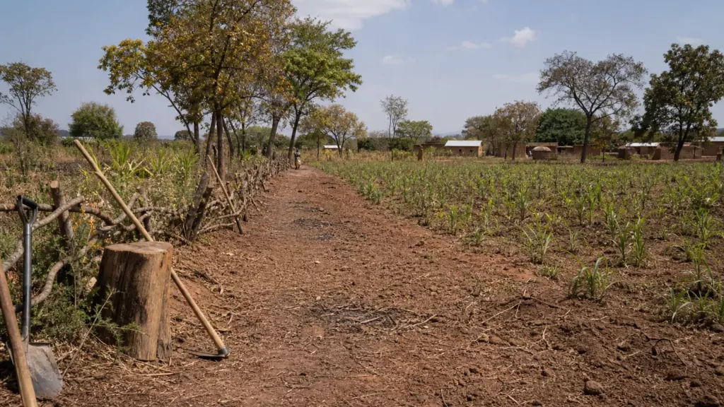 En Angola, la guerre civile a déplacé la gestion du feu rural