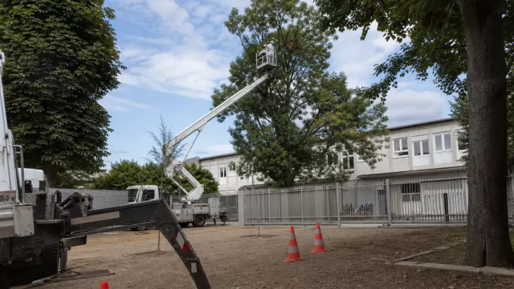 Frelon asiatique à pattes jaunes — face au frelon asiatique, l’État adopte un plan sans financement dédié